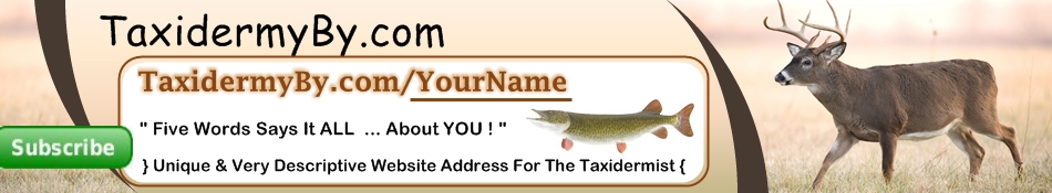 Taxidermy By .com YOUR NAME